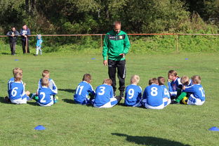 星空体育最新下载-中国篮球教练员战术创新能力培养及培训机制探讨，篮球教练员素养